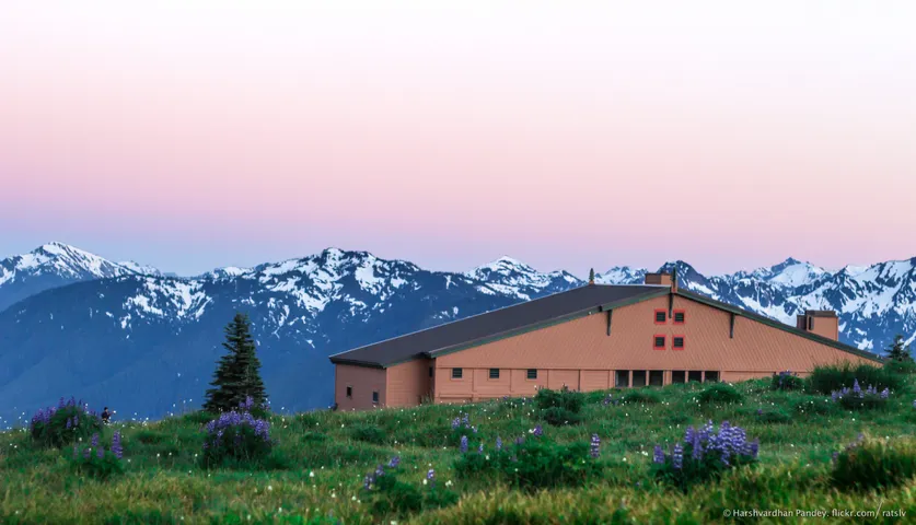 A low brown lodge in a meadow of purple lupines, snow-streaked peaks behind it, the sky fading from blue to pink after sunset.