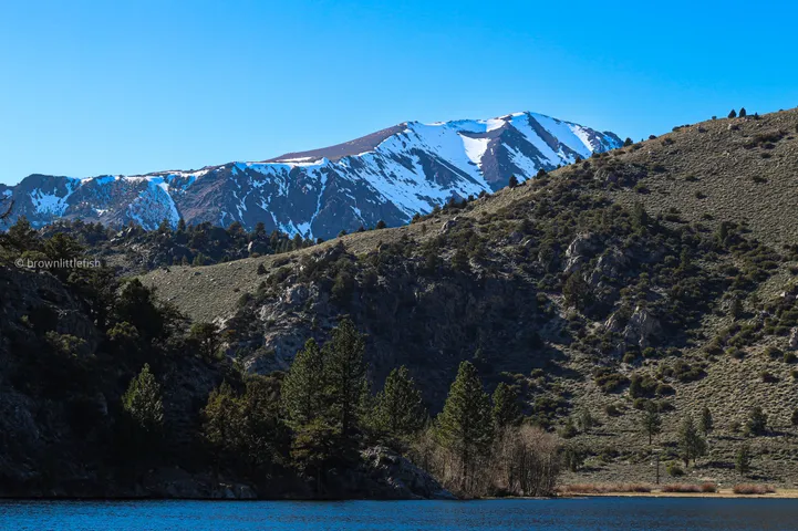 Snow-capped mountains above a brown scrub slope dotted with pines, a strip of deep blue lake along the bottom of the frame, clear sky.