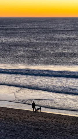 A wide beach at low tide seen from above, wet sand reflecting a yellow sky, a lone person walking a dog near the water.