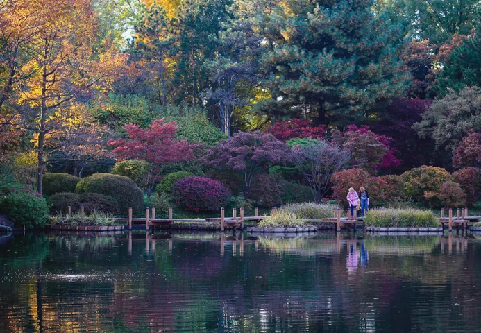 A still pond reflecting a bank of fall trees in red, gold, green and purple, two visitors standing on a low wooden footbridge at the far edge.