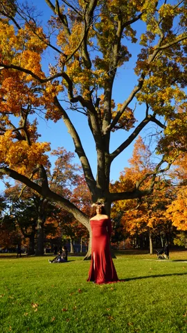 A wide shot of a huge bare oak with orange leaves at its edges, a woman in a long red dress standing small at its base on green grass under a blue sky.